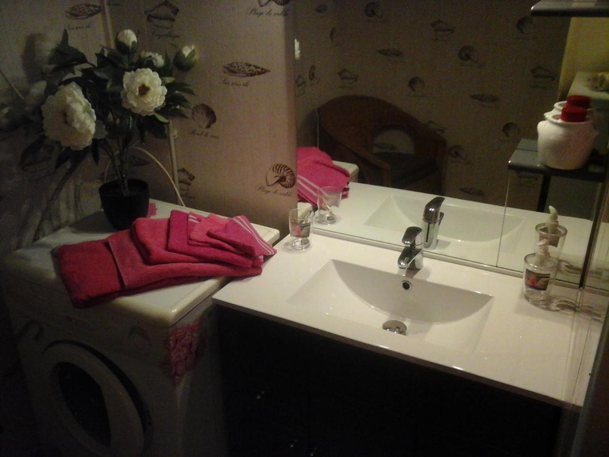 Chez Delphine Bed and Breakfast Αμπουάζ Εξωτερικό φωτογραφία