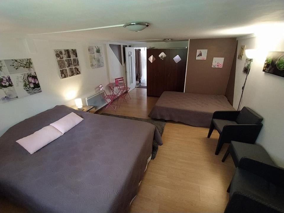 Chez Delphine Bed and Breakfast Αμπουάζ Εξωτερικό φωτογραφία