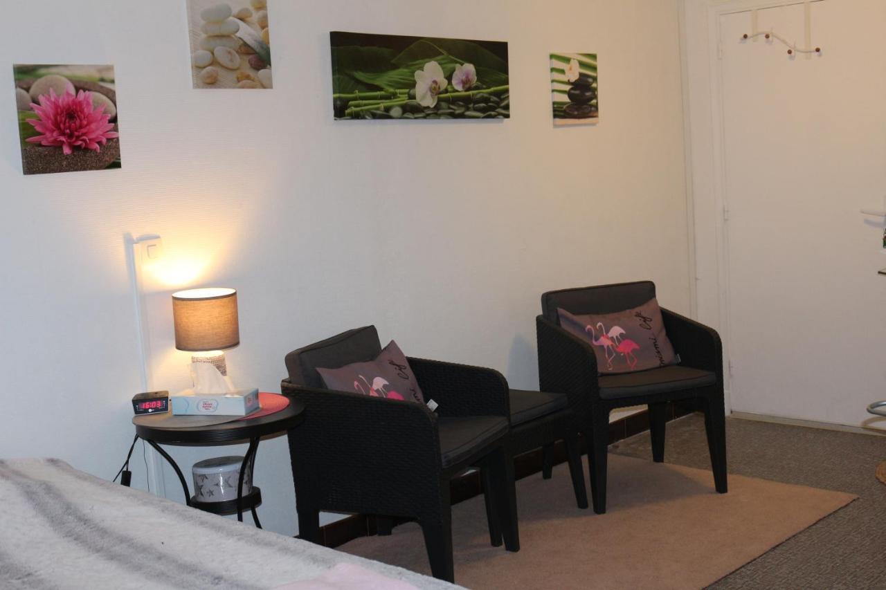 Chez Delphine Bed and Breakfast Αμπουάζ Εξωτερικό φωτογραφία