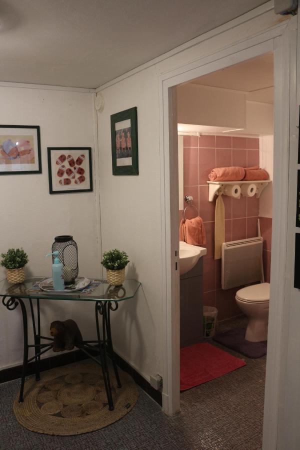 Chez Delphine Bed and Breakfast Αμπουάζ Εξωτερικό φωτογραφία